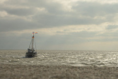 ein Schiff wird kommen ...