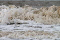 die Nordsee wird giftiger