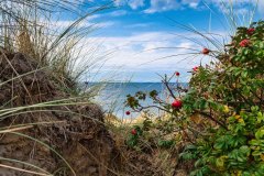 Aus-der-Duehne-zum-Meer-Wenningstedt-Sylt